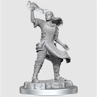 WIZKIDS WK 90409 D&D Nolzur's Marvelous Miniatures: Wave 20: Aasimar Cleric Female