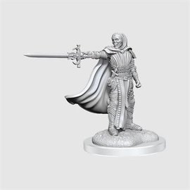 WIZKIDS WK 90423 D&D Nolzur's Marvelous Miniatures: Wave 20: Death Knights