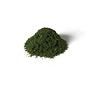 WOODLAND SCENICS WOO G6449 Woodland All Game Terrain Spring Green Weeds
