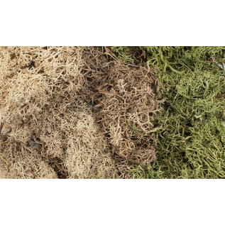 WOODLAND SCENICS WOO G6500 Woodland All Game Terrain Winter Mix Ez Bushes