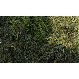 WOODLAND SCENICS WOO G6501 Woodland All Game Terrain Summer Mix Ez Bushes