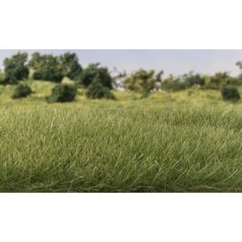 WOODLAND SCENICS WOO G6584 Woodland All Game Terrain Static Grass Medium Green 7mm