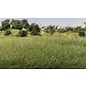 WOODLAND SCENICS WOO G6584 Woodland All Game Terrain Static Grass Medium Green 7mm