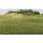 WOODLAND SCENICS WOO G6572 Woodland All Game Terrain Static Grass Medium Green 4mm