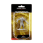 WIZKIDS WK 90081 RAGING TROLL WAVE 12 NOLZUR'S MARVELOUS MINIATURES