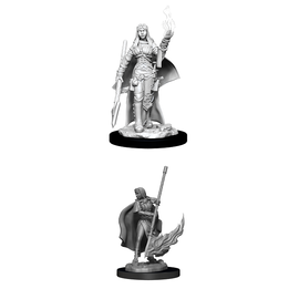 WIZKIDS WK 90044 FEMALE HUMAN ORACLE (MAGIC USER) WAVE 11
