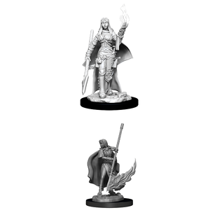 WIZKIDS WK 90044 FEMALE HUMAN ORACLE (MAGIC USER) WAVE 11