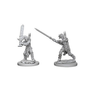 WIZKIDS WK 73414 PF UNPAINTED MINIS WV6 FEMALE HUMAN BARBARIAN