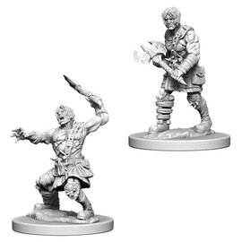 WIZKIDS WK 73398 DND UNPAINTED MINIS WV6 NAMELESS ONE