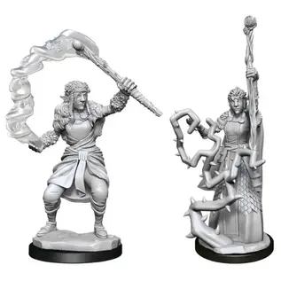 WIZKIDS WK 90146 FIRBOLG DRUID WAVE 13