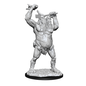 WIZKIDS WK 90031 90214 DND UNPAINTED MINIS WV12.5 ETTIN