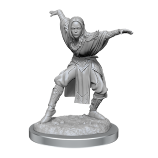 WIZKIDS WK 90652 PF UNPAINTED MINIS WV21 HALF-ELF MONK FEMALES