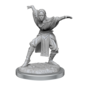 WIZKIDS WK 90652 PF UNPAINTED MINIS WV21 HALF-ELF MONK FEMALES