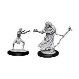 WIZKIDS WK 90072 SEA HAG & BHEUR HAG WAVE 12 NOLZUR'S MARVELOUS MINIATURES