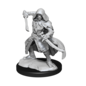 WIZKIDS WK 90236 NOLZURS WARFORGED ROGUE WAVE 14