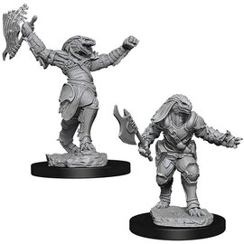 WIZKIDS WK 90001 D&D Nolzur's Marvelous Unpainted Miniatures: Wave 11: Female Dragonborn Fighter