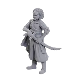 WIZKIDS WK 90110 ANSALON HUMAN ROGUE