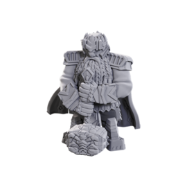 WIZKIDS WK 90710 MALE DWARF CHAMPION HIGH-LEVEL