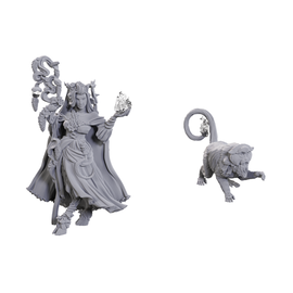 WIZKIDS WK 90722 Critical Role Unpainted Miniatures: Wave 23: Fearne Calloway & Mister
