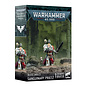 GAMES WORKSHOP WAR 99120101415 BLOOD ANGELS SANGUINARY PRIEST
