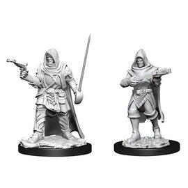 WIZKIDS WK 90168 MALE HUMAN ROGUE WAVE 13