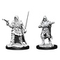 WIZKIDS WK 90168 MALE HUMAN ROGUE WAVE 13