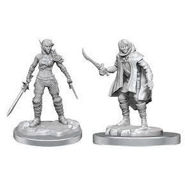 WIZKIDS WK 90582 D&D Nolzur's Marvelous Miniatures: Wave 19: Elf Rogue & Half-Elf Rogue Protege