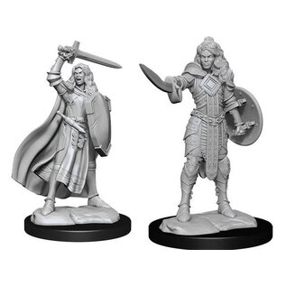 WIZKIDS WK 90264 DEEP CUTS FEMALE HUMAN CHAMPION WAVE 14