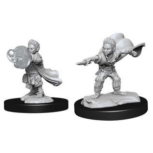 WIZKIDS WK 90260 Male Halfling Wizards