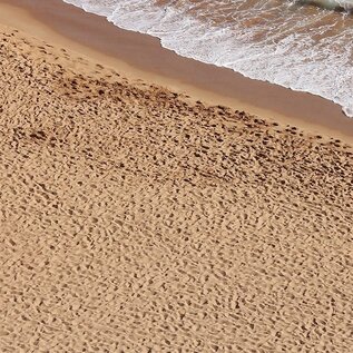 AK INTERACTIVE AK 8019 AK Interactive Terrains Beach Sand - 250ml (Acrylic)
