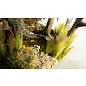 WOODLAND SCENICS WOO G6633 Woodland All Game Terrain Cattails Tufts
