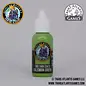 Duncan Rhodes Painting Academy TTCDR-10104 Two Thin Coats: Talisman Green