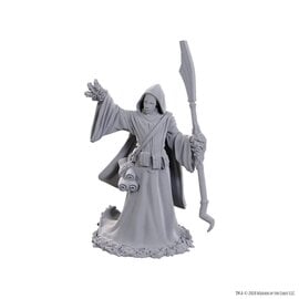 WIZKIDS WK 90754 D&D Nolzur's Marvelous Unpainted Miniatures: Wave 25: Star Spawn Larva Mage