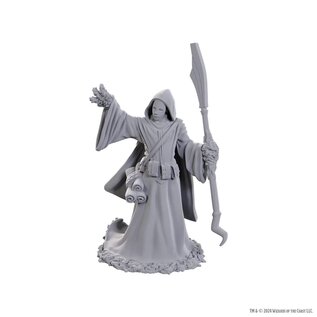 WIZKIDS WK 90754 D&D Nolzur's Marvelous Unpainted Miniatures: Wave 25: Star Spawn Larva Mage