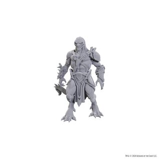 WIZKIDS WK 90757 D&D Nolzur's Marvelous Unpainted Miniatures: Wave 25: Draconian Mastermind
