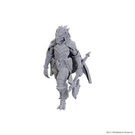 WIZKIDS WK 90759 D&D Nolzur's Marvelous Unpainted Miniatures: Wave 25: Dragonborn of Tiamat