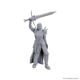 WIZKIDS WK 90772 D&D Nolzur's Marvelous Unpainted Miniatures: Wave 25: Blackguard