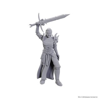 WIZKIDS WK 90772 D&D Nolzur's Marvelous Unpainted Miniatures: Wave 25: Blackguard