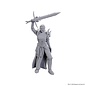 WIZKIDS WK 90772 D&D Nolzur's Marvelous Unpainted Miniatures: Wave 25: Blackguard