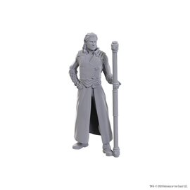 WIZKIDS WK 96366 D&D Nolzur's Marvelous Miniatures: Special Edition Baldur's Gate 3: Gale & Astarion