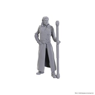 WIZKIDS WK 96366 D&D Nolzur's Marvelous Miniatures: Special Edition Baldur's Gate 3: Gale & Astarion