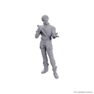 WIZKIDS WK 96366 D&D Nolzur's Marvelous Miniatures: Special Edition Baldur's Gate 3: Gale & Astarion