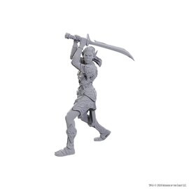 WIZKIDS WK 96365 D&D Nolzur's Marvelous Miniatures: Special Edition Baldur's Gate 3: Lae'zel & Shadowheart
