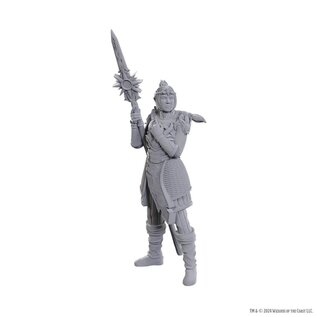 WIZKIDS WK 96365 D&D Nolzur's Marvelous Miniatures: Special Edition Baldur's Gate 3: Lae'zel & Shadowheart