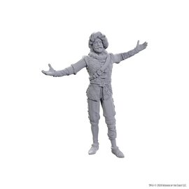 WIZKIDS WK 96372 D&D Nolzur's Marvelous Miniatures: Special Edition Baldur's Gate 3: Volo & Withers