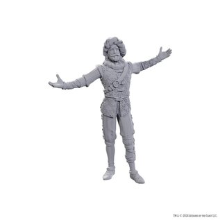 WIZKIDS WK 96372 D&D Nolzur's Marvelous Miniatures: Special Edition Baldur's Gate 3: Volo & Withers