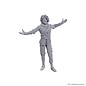 WIZKIDS WK 96372 D&D Nolzur's Marvelous Miniatures: Special Edition Baldur's Gate 3: Volo & Withers
