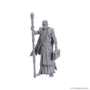 WIZKIDS WK 96372 D&D Nolzur's Marvelous Miniatures: Special Edition Baldur's Gate 3: Volo & Withers