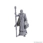 WIZKIDS WK 96372 D&D Nolzur's Marvelous Miniatures: Special Edition Baldur's Gate 3: Volo & Withers