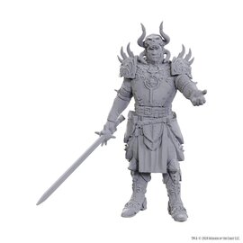 WIZKIDS WK 96371 D&D Nolzur's Marvelous Miniatures: Special Edition Baldur's Gate 3: Sarevok Anchev & Raphael